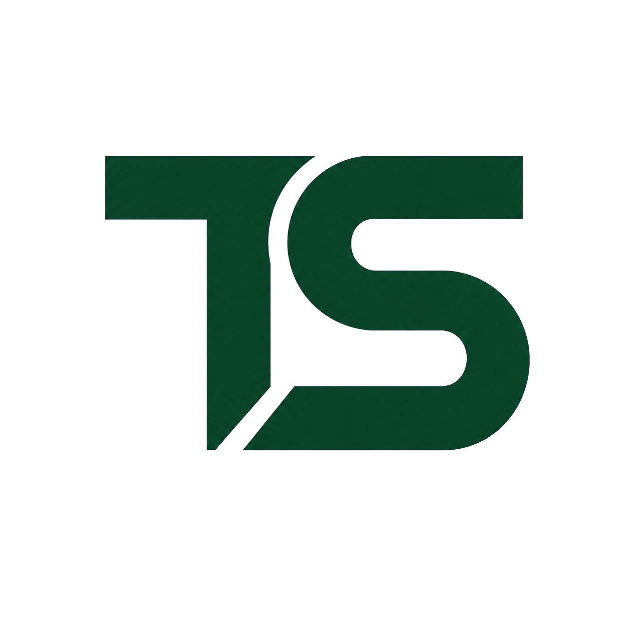 Trade Systems TS logo